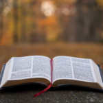 El Aplicativo de la Biblia: Una nueva era en el estudio de las Escrituras