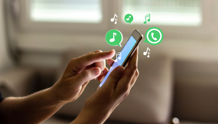 Aplicativo Para Colocar Música nos Status do WhatsApp